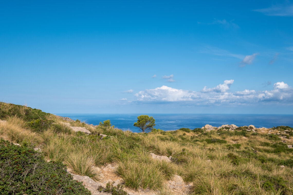 Hike to La Mola: Pollença's Table Mountain