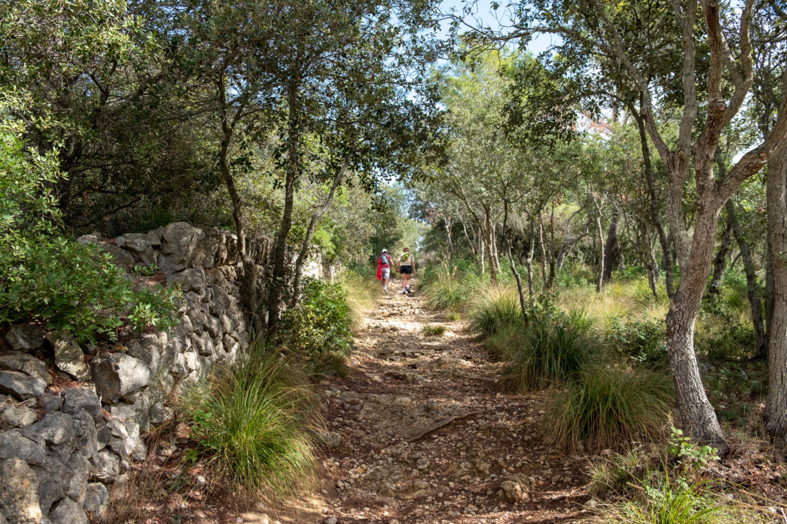 Puig de Santa Magdalena