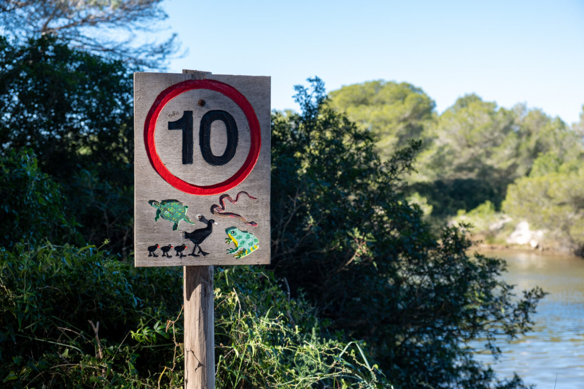 S'Albufera