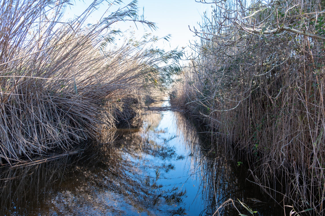 S'Albufera