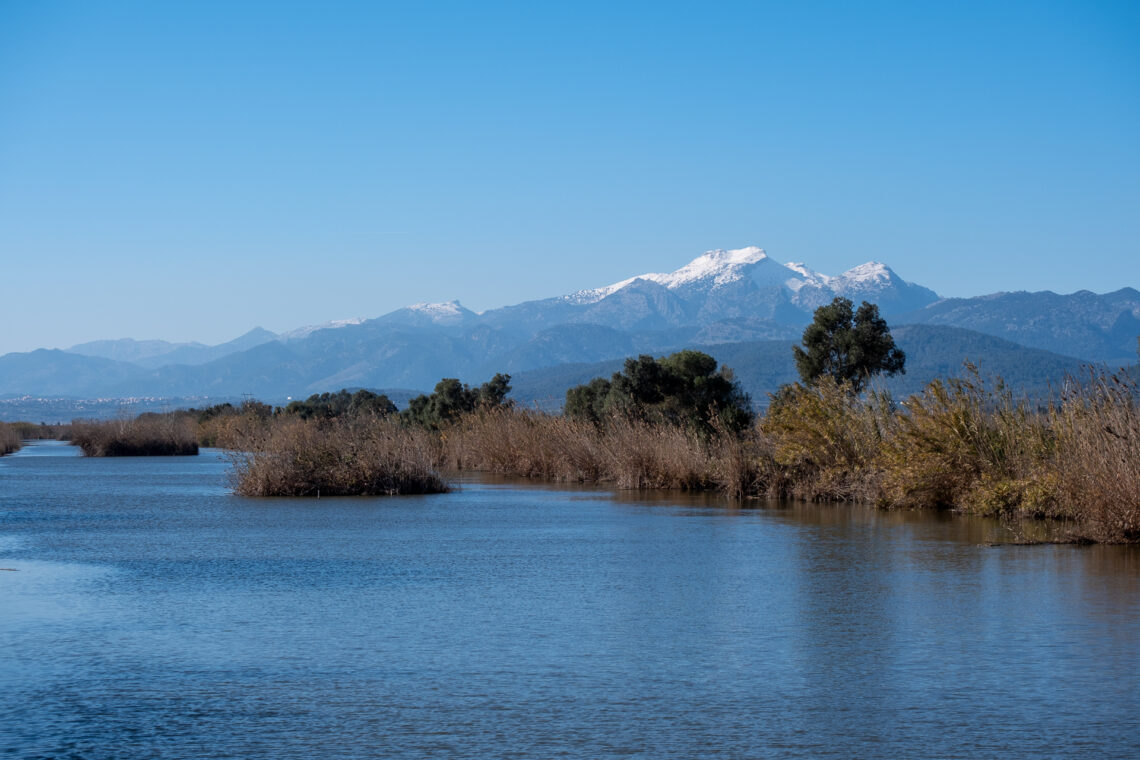 S'Albufera