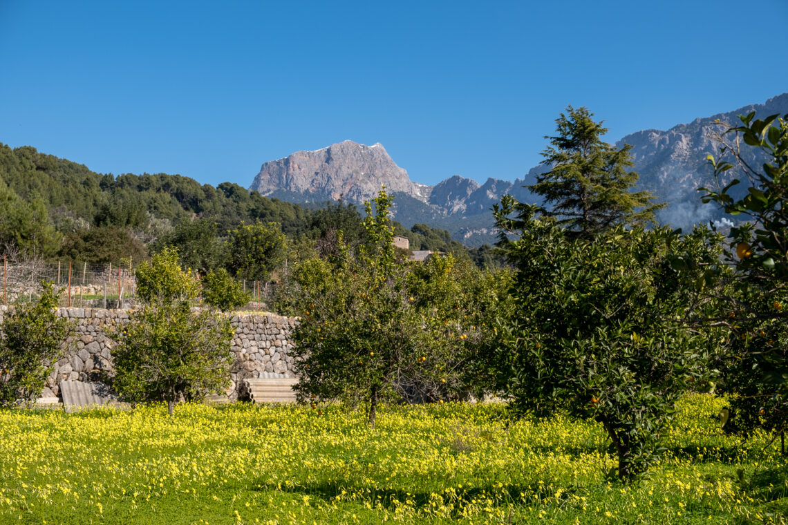 Sóller Valley Hike