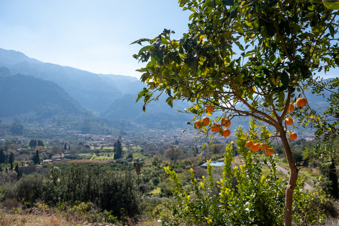 Sóller Valley Hike