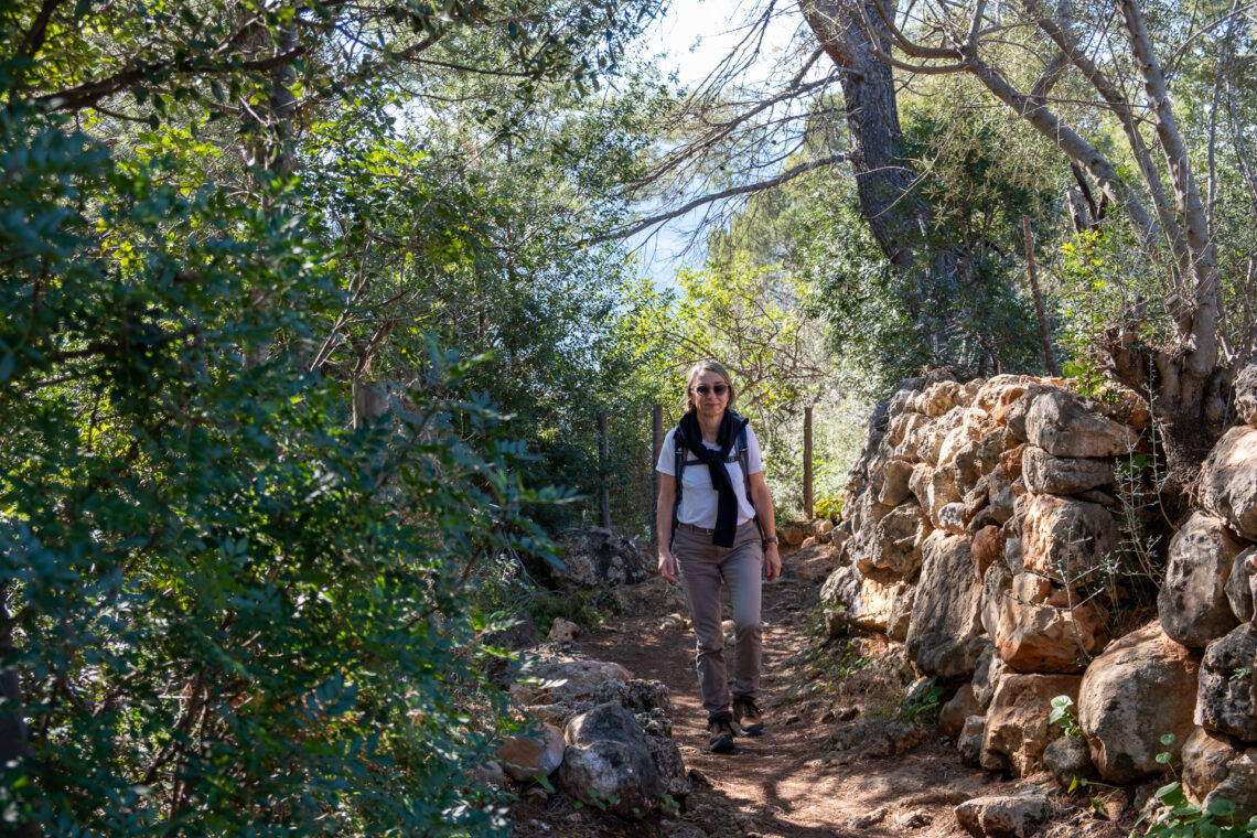 Sóller Valley Hike