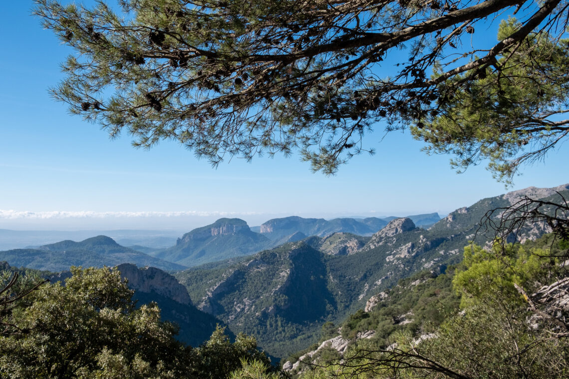 Puig de Massanella