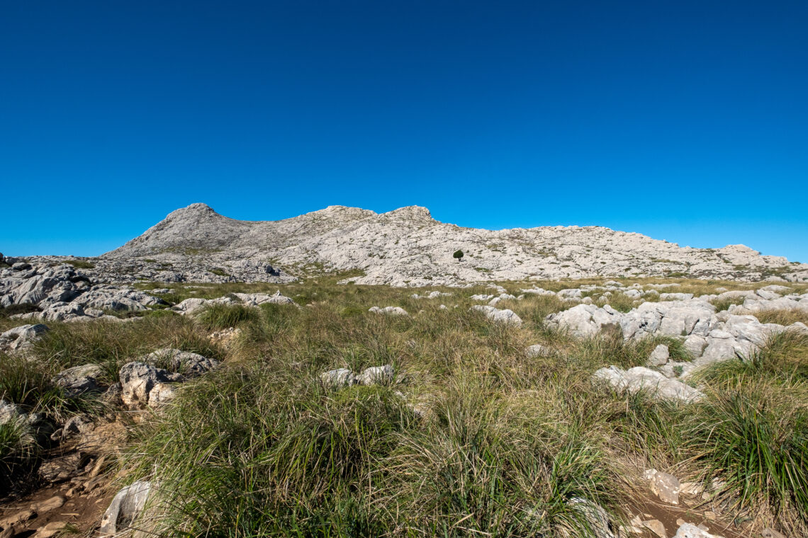 Puig de Massanella