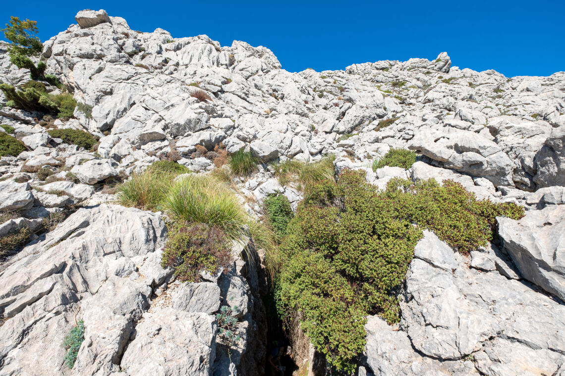 Puig de Massanella