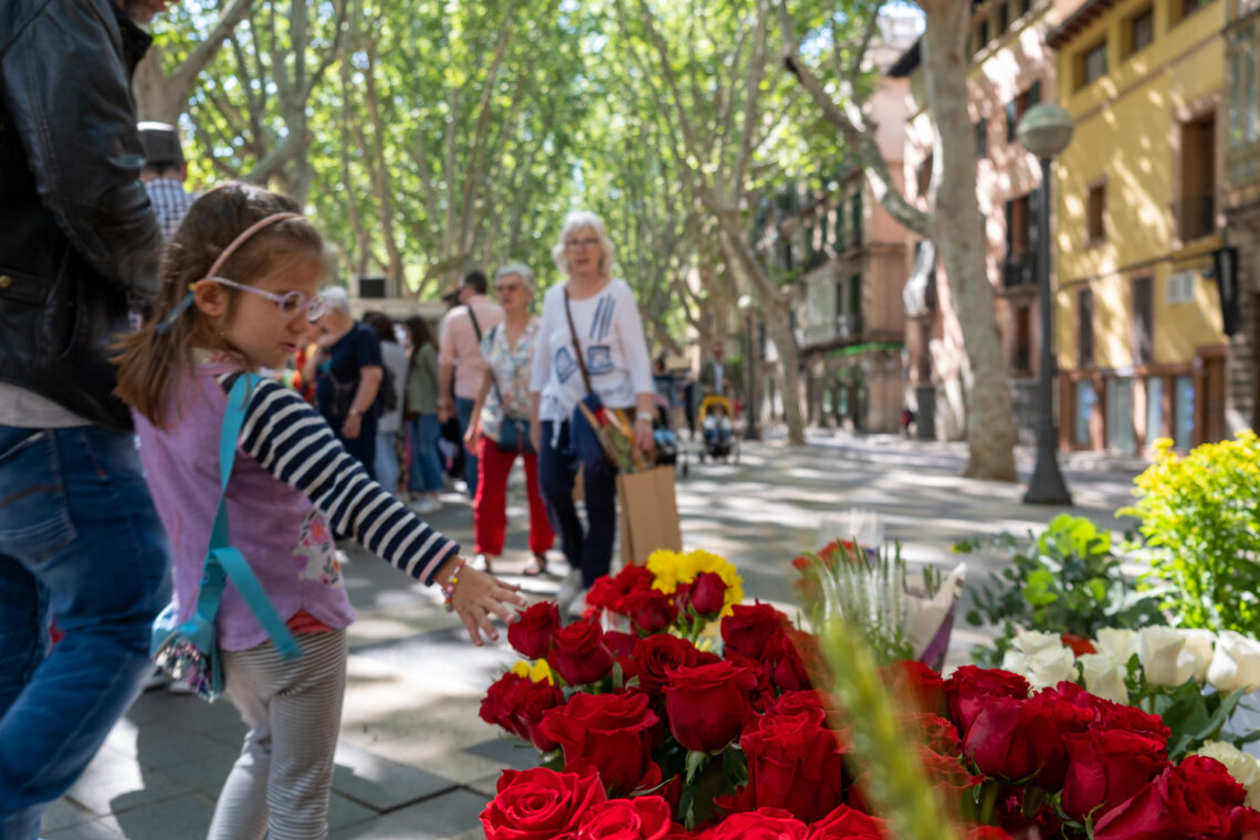 Sant Jordi