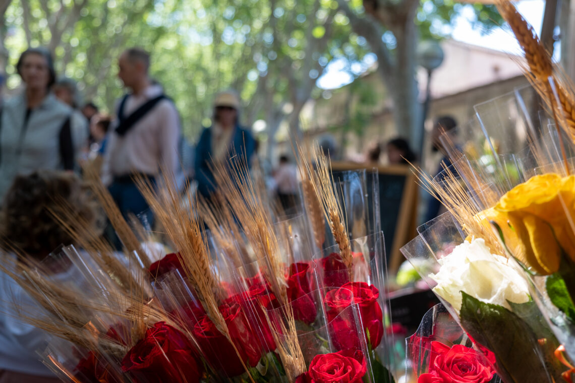 Sant Jordi