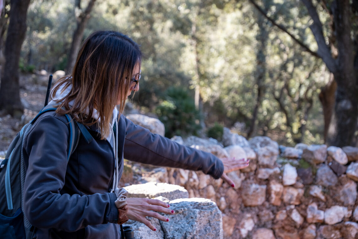 Castell del Rei Mallorca