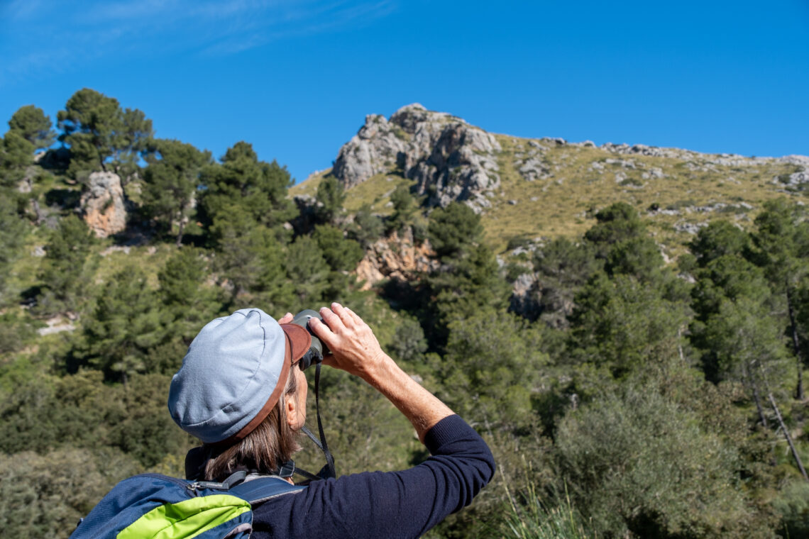 Castell del Rei Mallorca