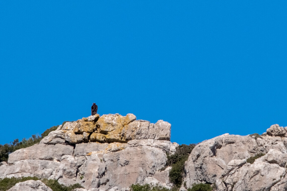 Castell del Rei Mallorca