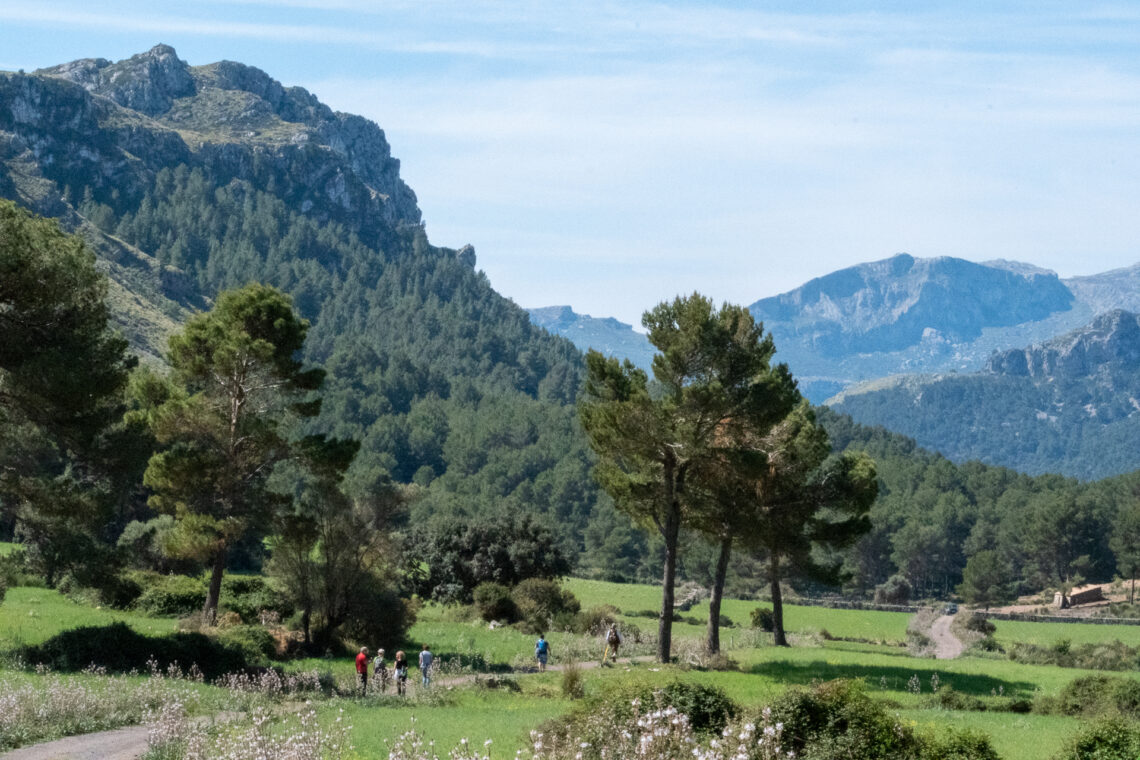 Castell del Rei Mallorca