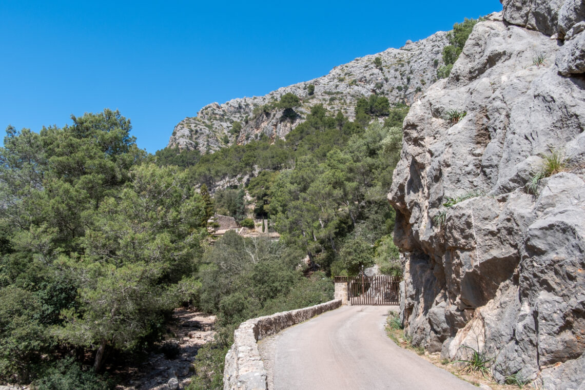 Castell del Rei Mallorca