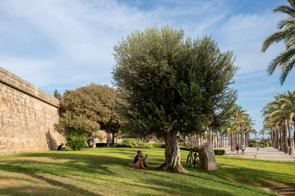 Parc de la Mar