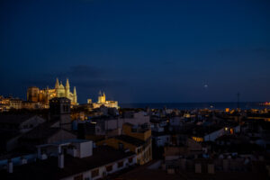 The Roof Terraces of Palma