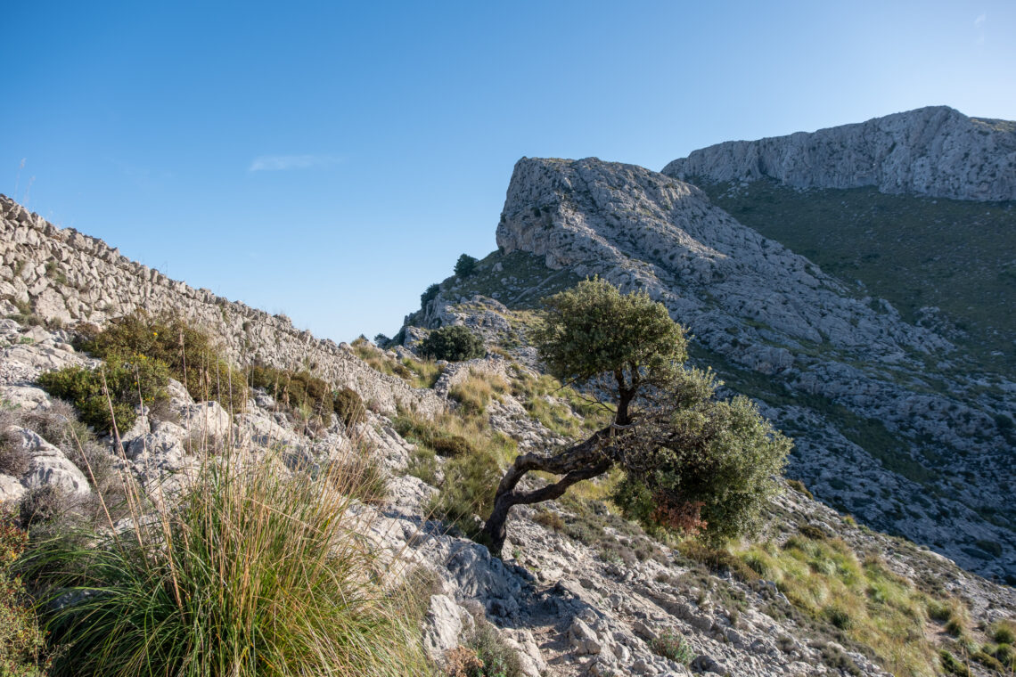 Tramuntana Hikes