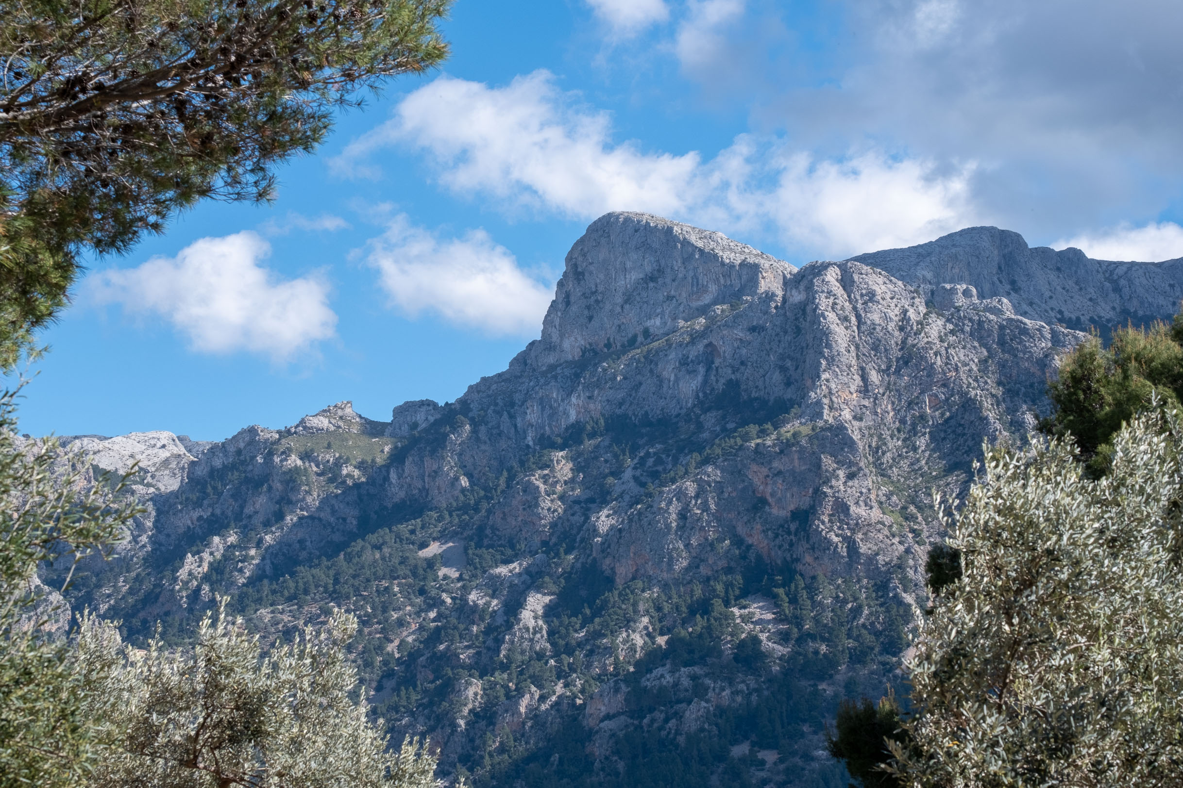 Hiking from Sóller