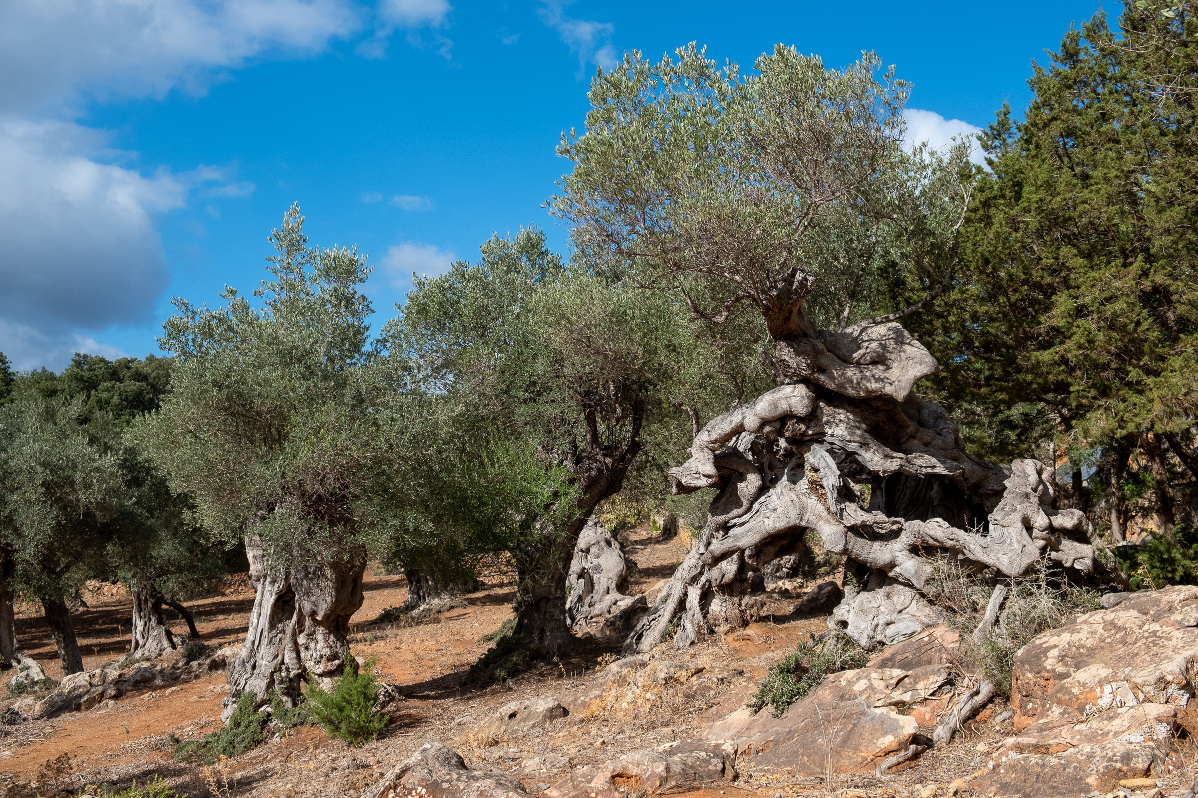 HIking from Sóller