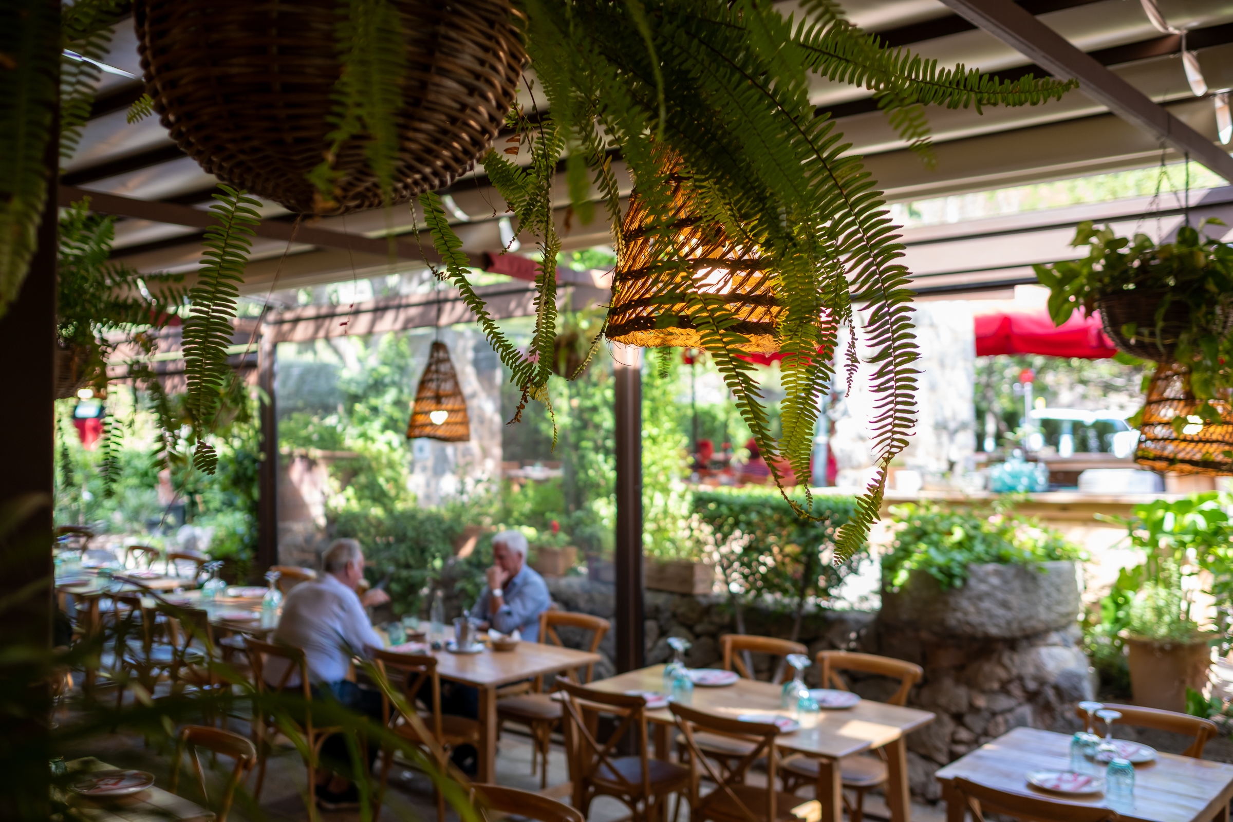 Paella on Mallorca