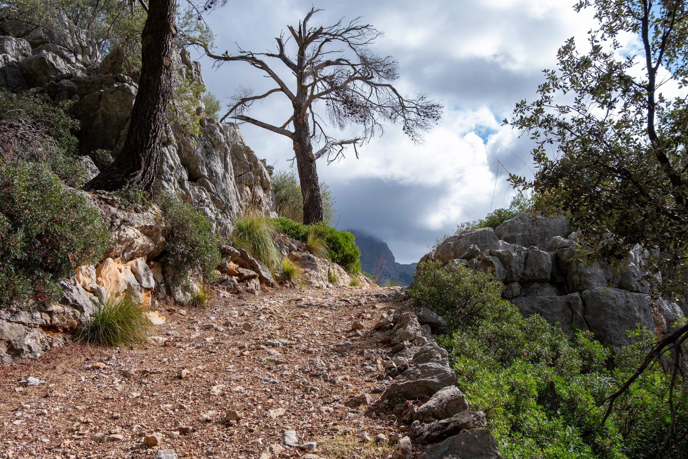 Hiking in the Tramuntana