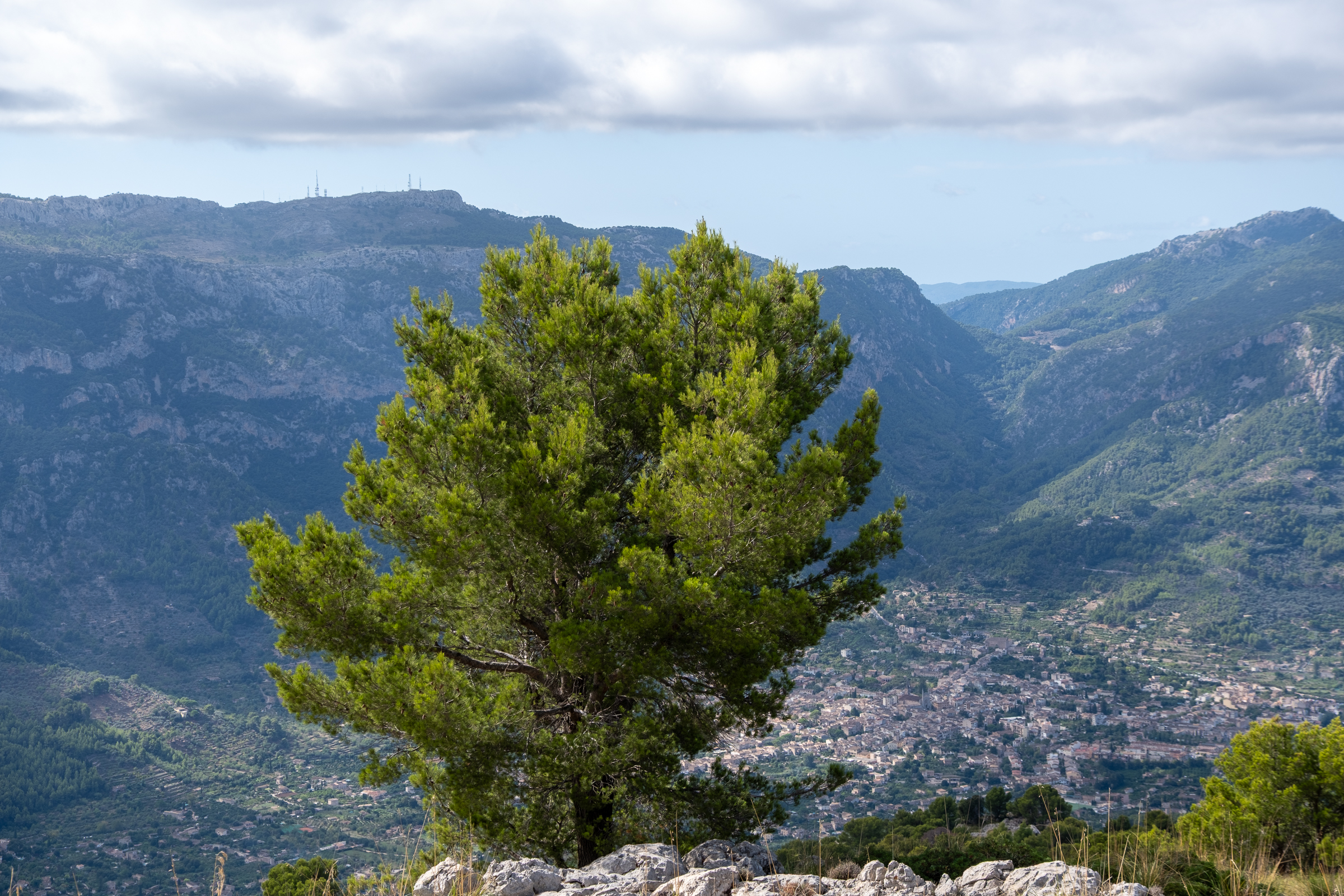 Puig de sa Bassa