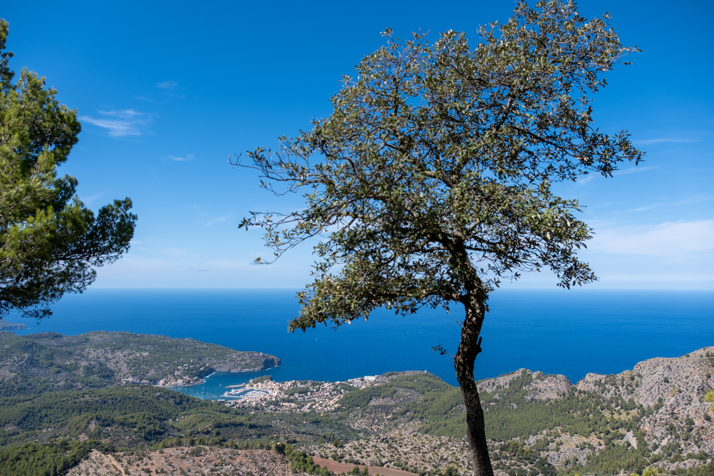 Puig de sa Bassa
