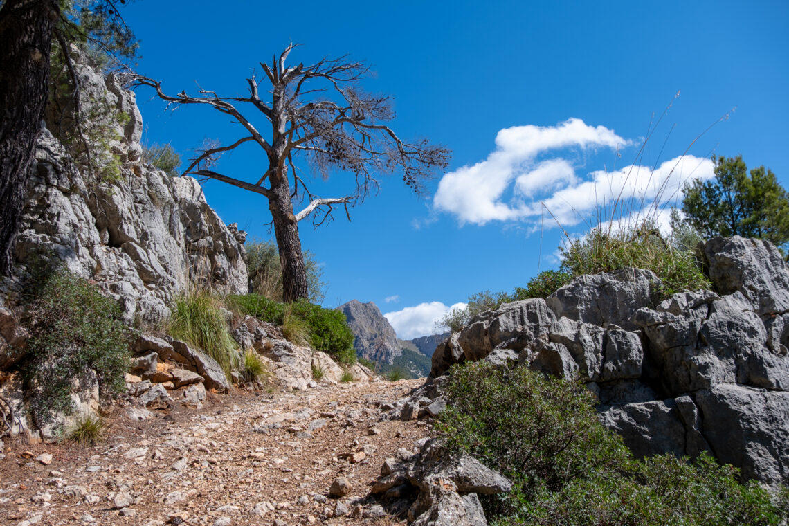 Hiking from Fornalutx to La Bassa