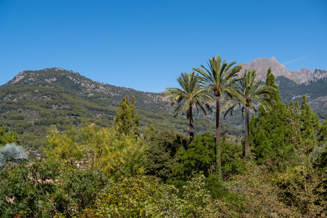 Puig de sa Bassa