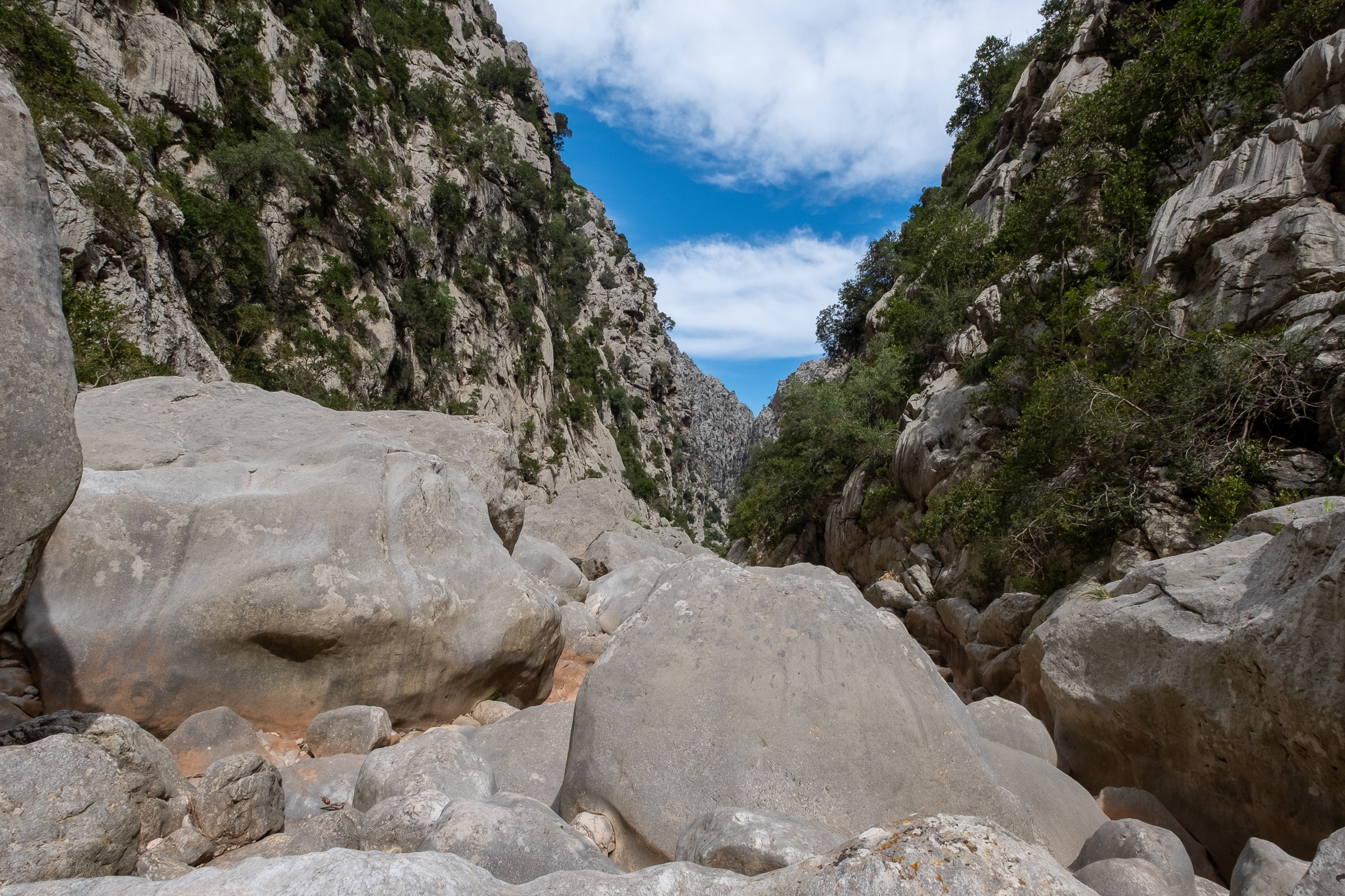 Tramuntana Hikes