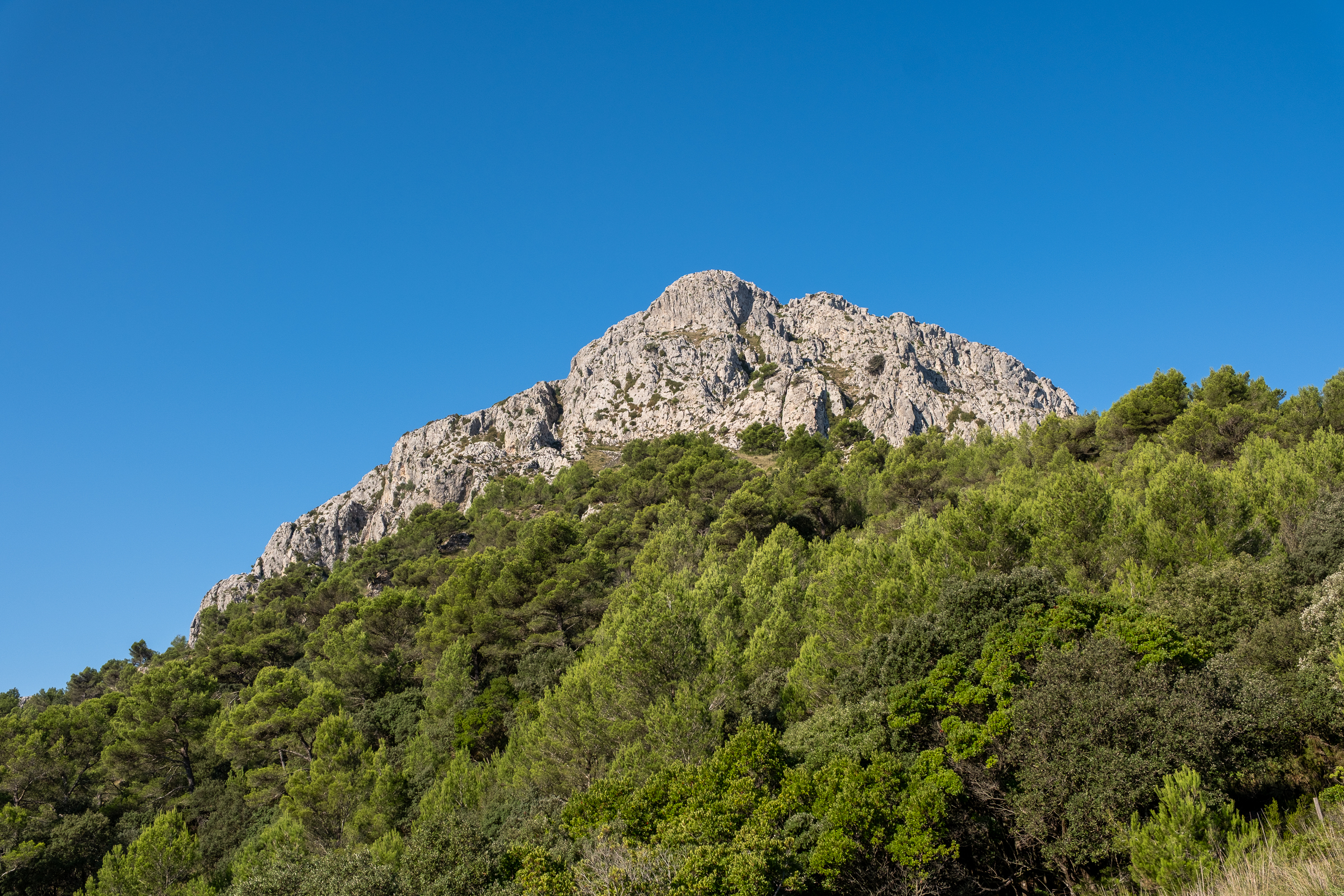 Puig de Galatzó