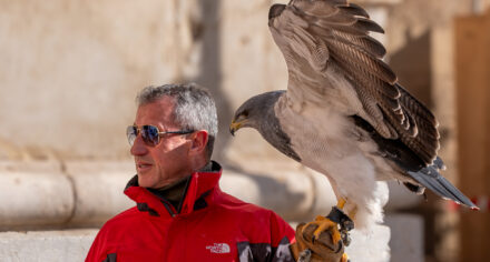 Sant Antoni on Mallorca