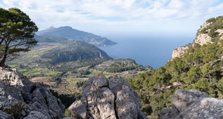 Hiking the Camí de s’Arxiduc