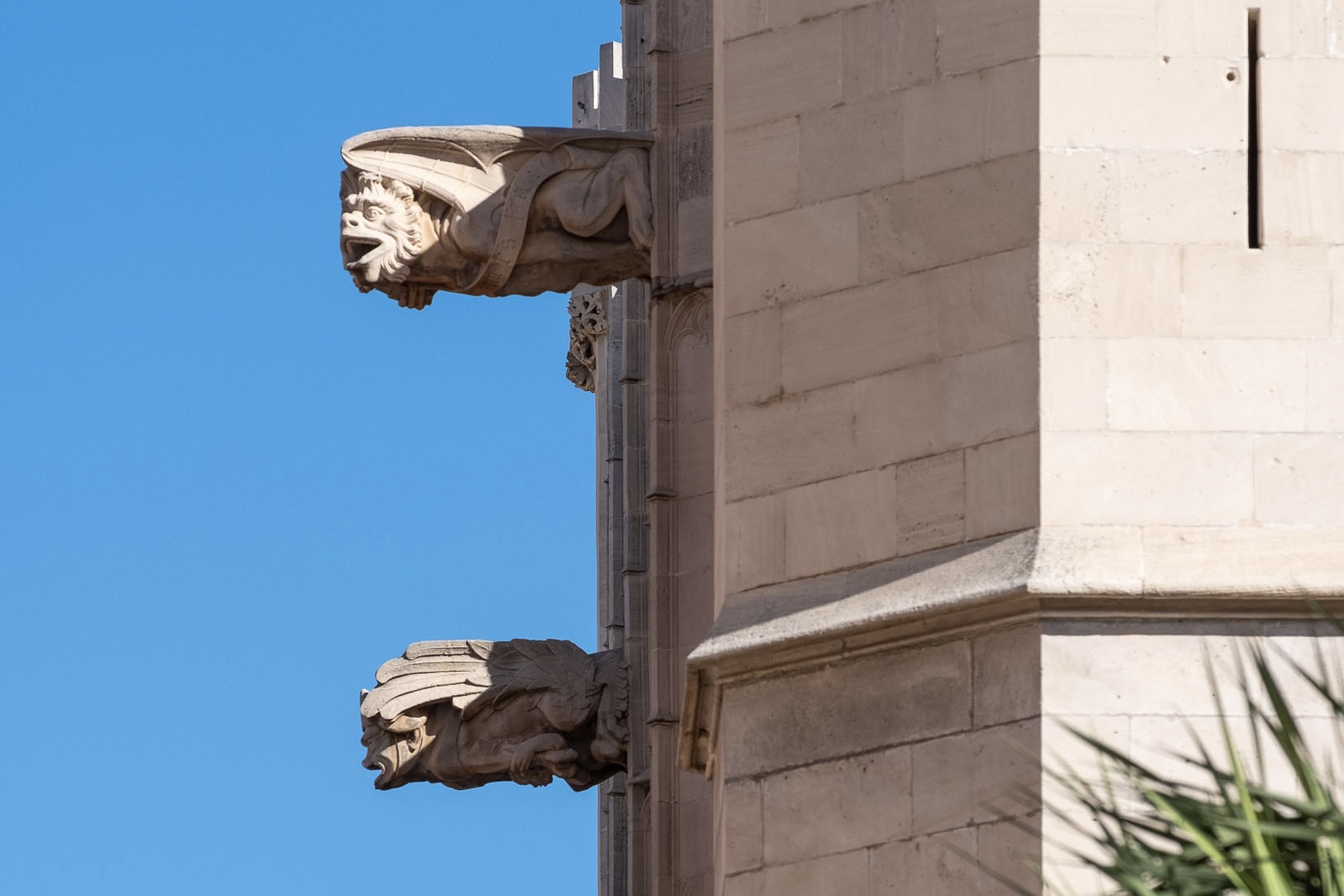 The Gargoyles of Palma