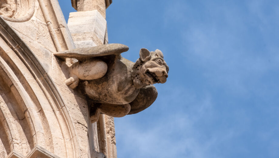 The Gargoyles of Palma