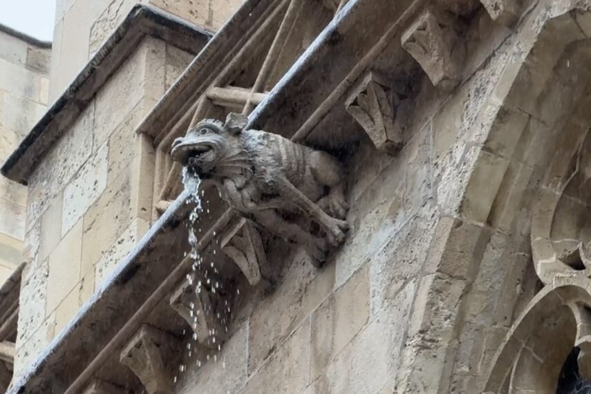 The Gargoyles of Palma