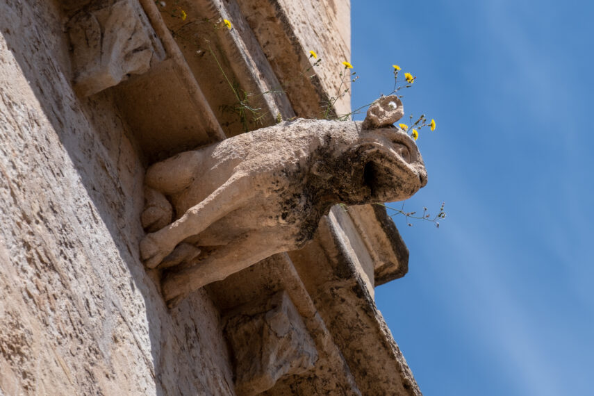 The Gargoyles of Palma