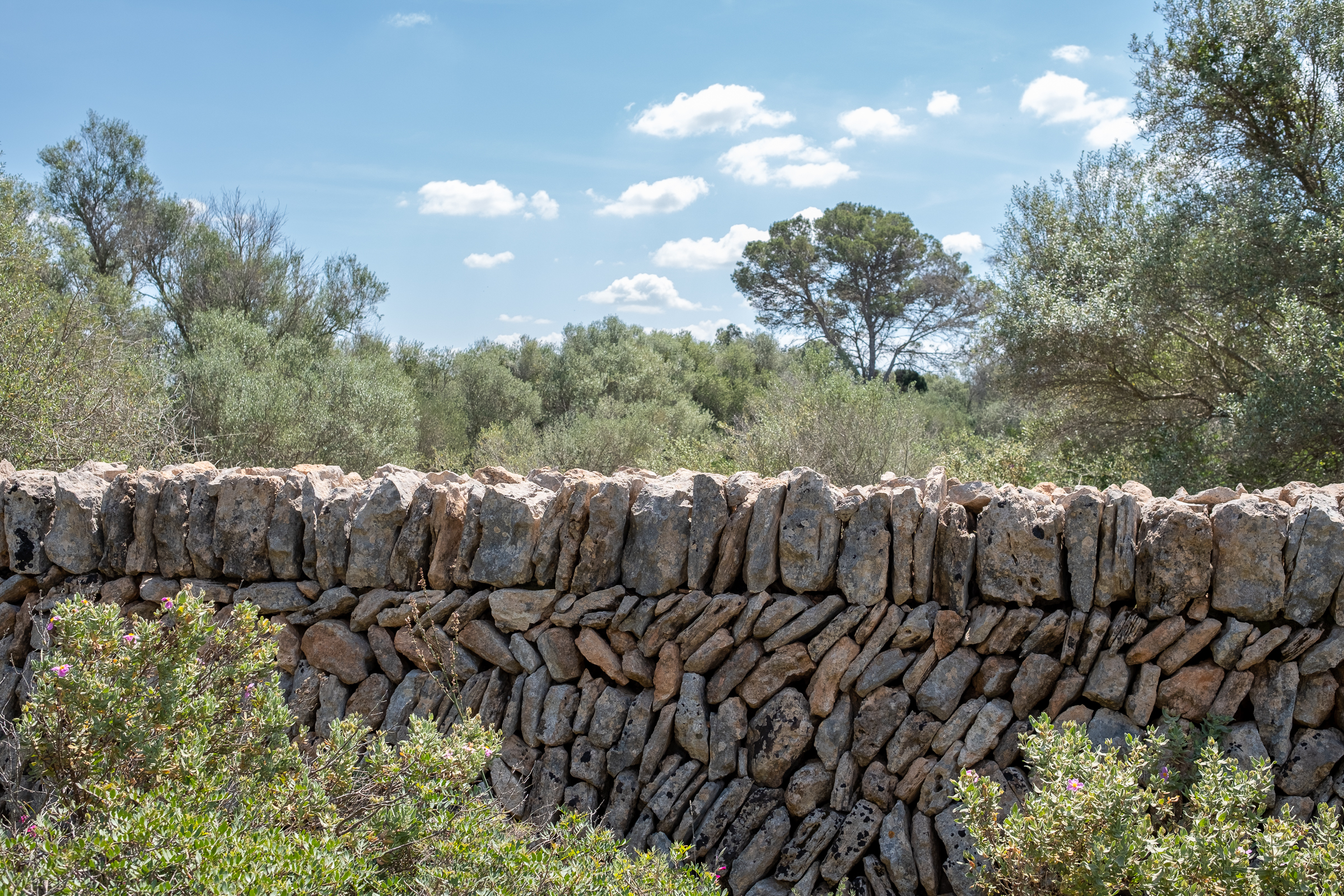 Dry stone wall on Mallorca