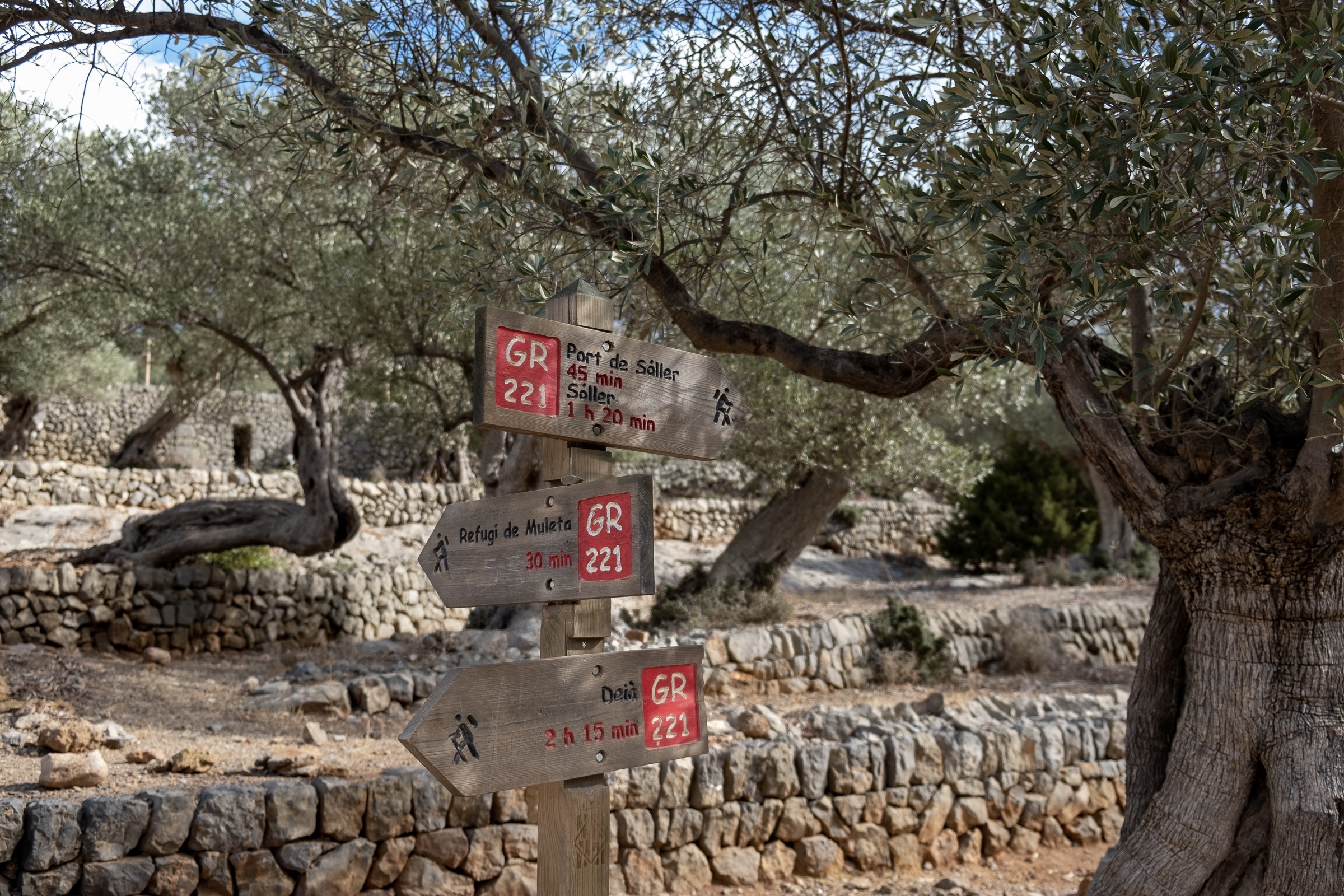 GR 221 - Mallorca's Dry Stone Route