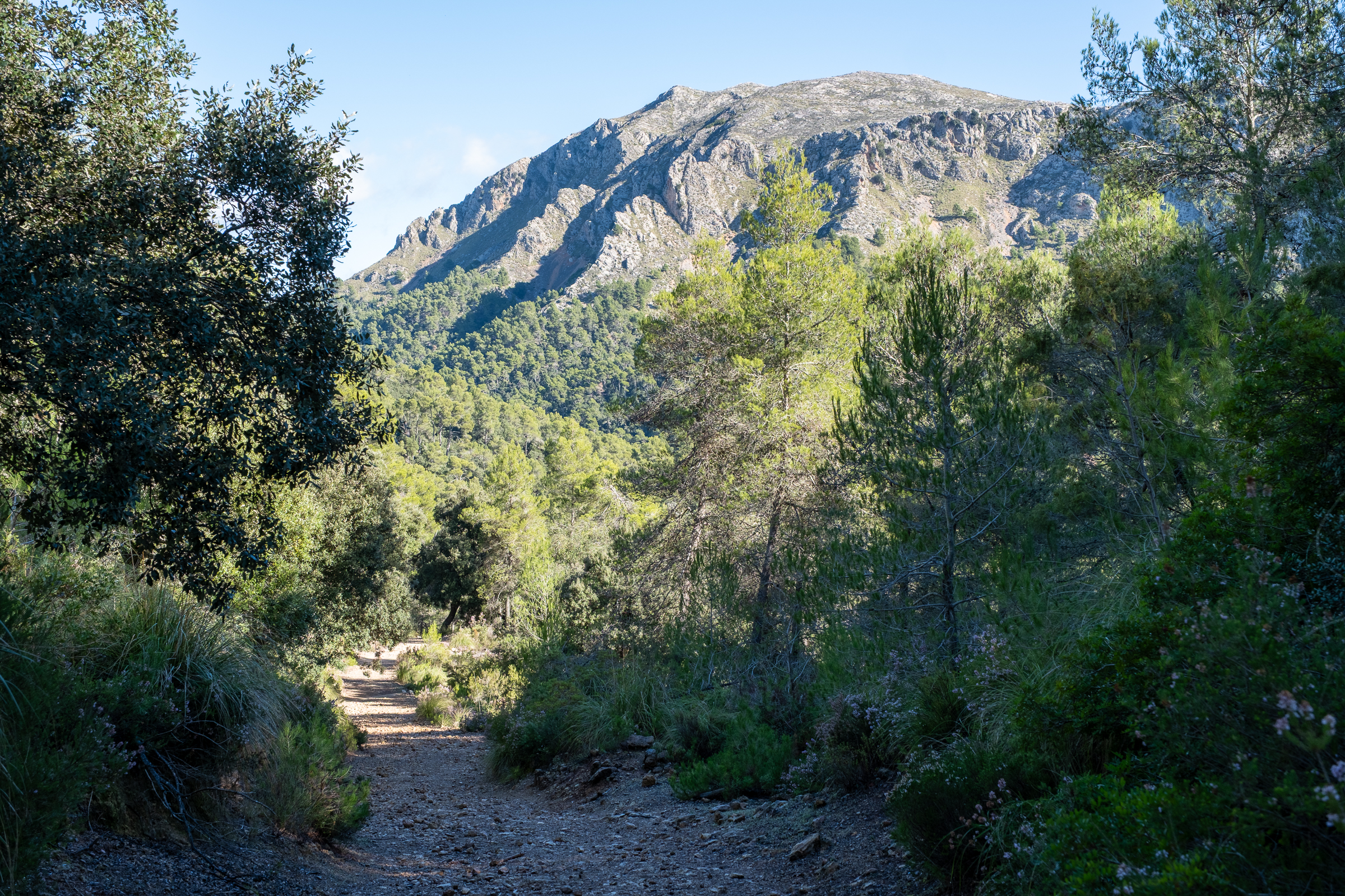 Tramuntana hike