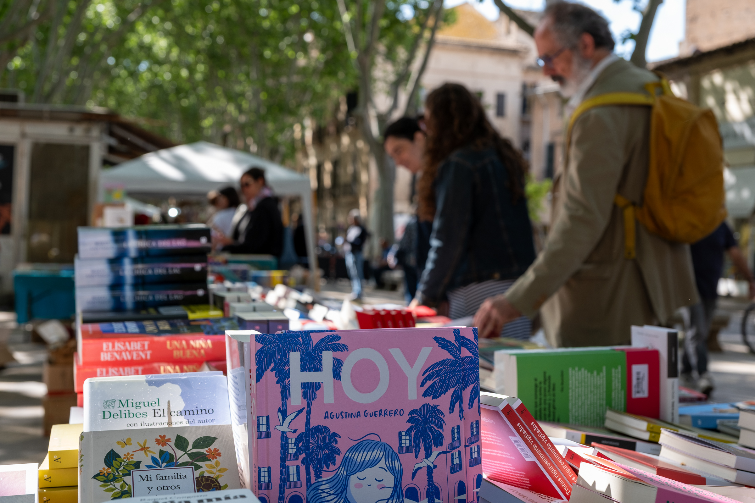 Sant Jordi in Palma