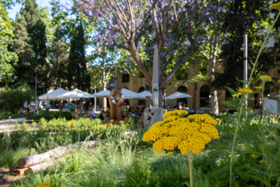 Biblio Jardí
