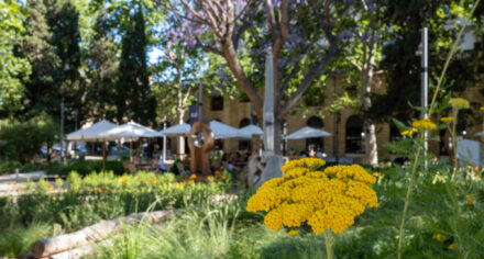 Biblio Jardí