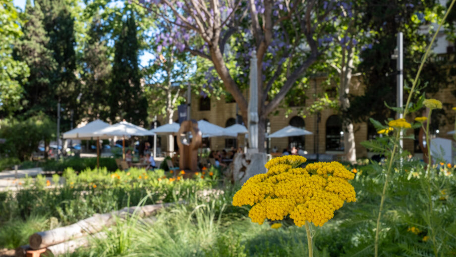 Biblio Jardí