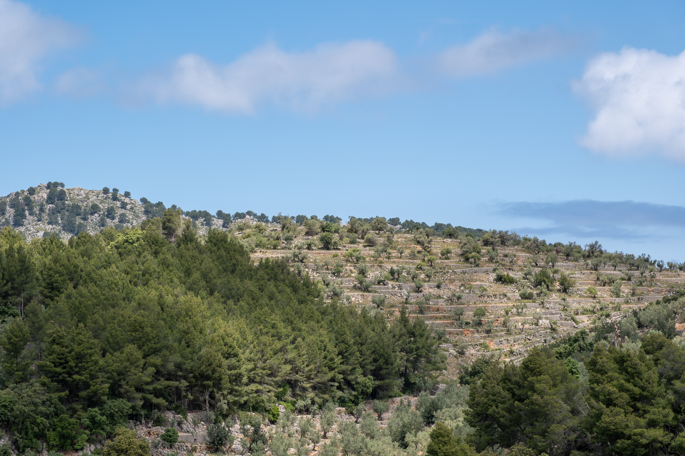 Mirador de ses Barques