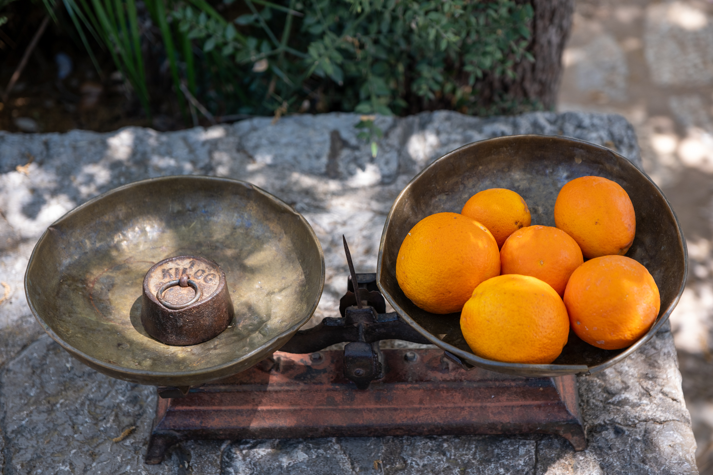 Oranges to go
